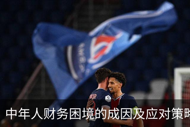 中年人财务困境的成因及应对策略研究